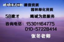 探索信息技术服务市场 价格、渠道与采购策略