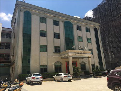 岳阳市房屋改造安全检测鉴定报告办理劳务服务指南